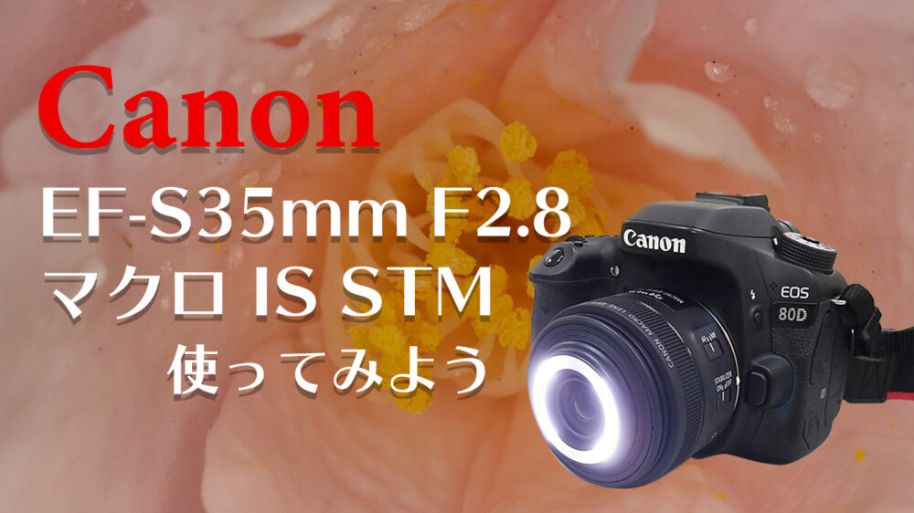 EF-S用レンズ キヤノン Canon EF-S35mm F2.8 マクロ IS STMを使って 