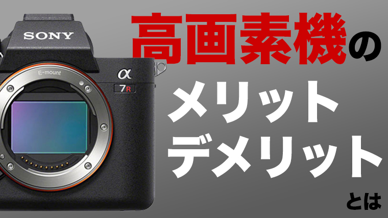 高画素機カメラのメリット デメリットとは エイペックスレンタルズ スタッフブログ