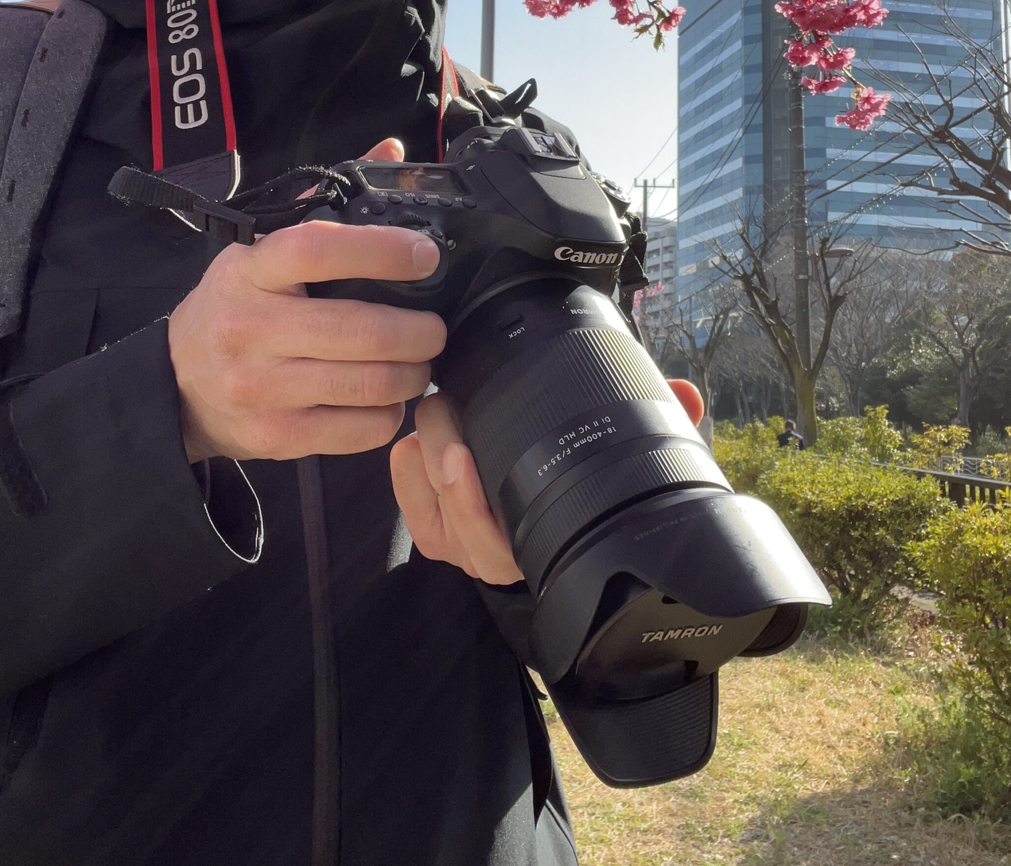 Canon EOS 80Dにタムロン18-400mmとシグマ100-400mmを付け替えて撮り 